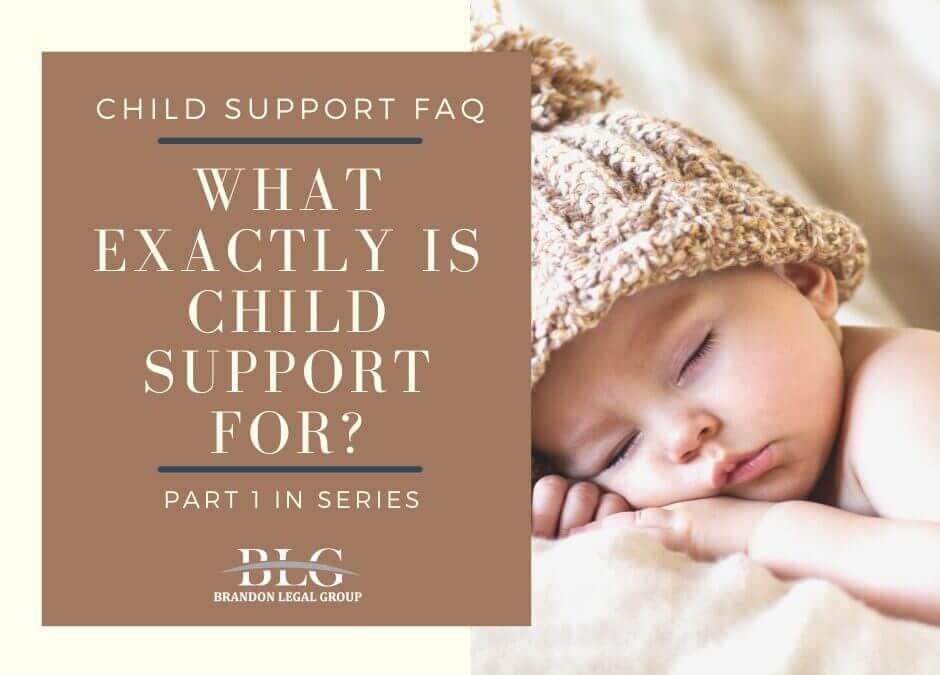 What Exactly Is Child Support For? Part-1 In Series