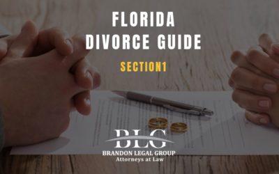 Florida Divorce Guide – Section 1