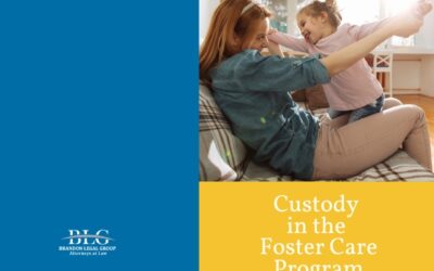 Guardians of Hope: Custody in the Foster Care System