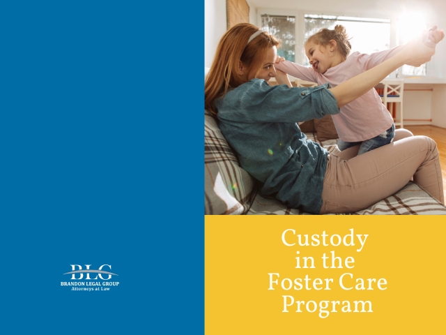 Guardians of Hope: Custody in the Foster Care System