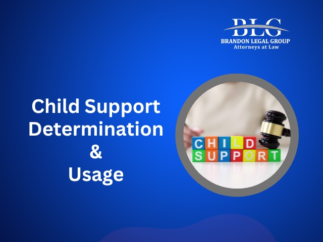 Child Support Determination And Utilization